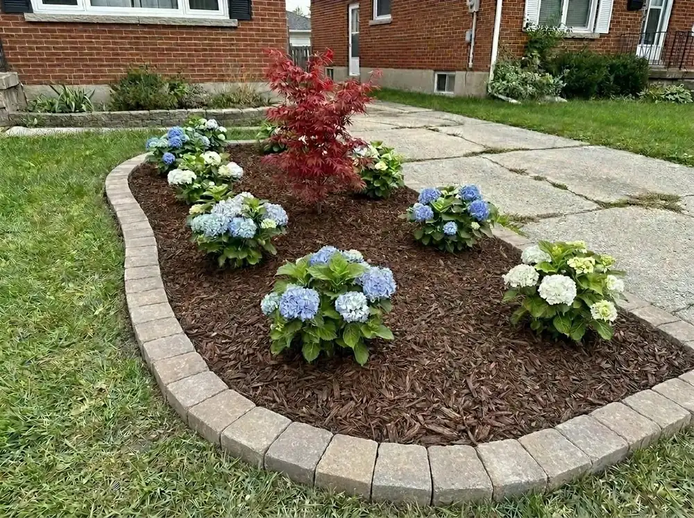 Refreshed garden bed with mulch and edging