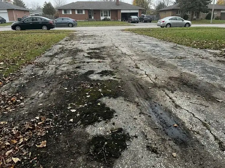 Driveway covered in moss, dirt and algae before pressure washing