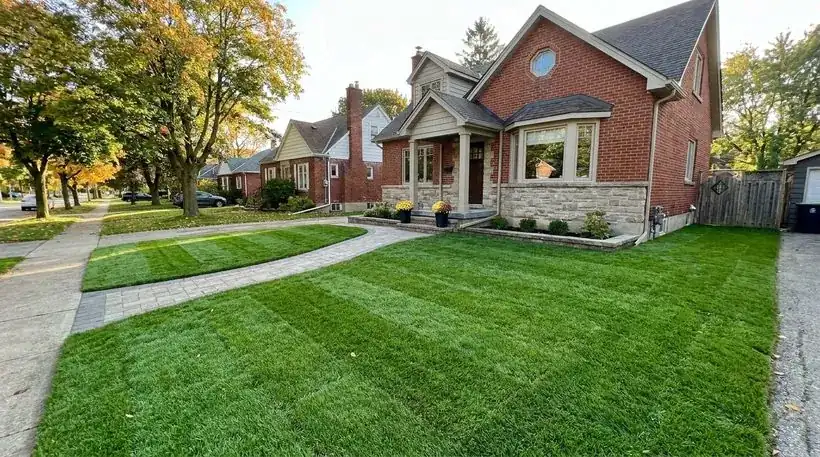 Striped green sod lawn with paver walkway after installation