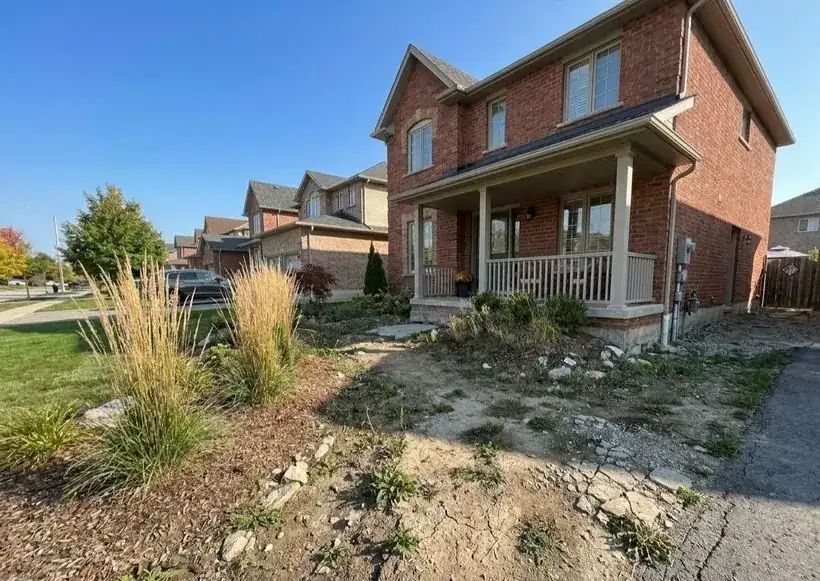 Weedy bare front yard before hardscaping